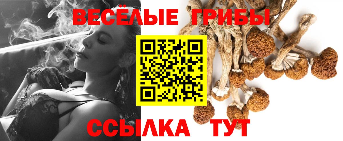 Алейск  Галлюциногенные грибы GOLDEN TEACHER  Вход с VPN 