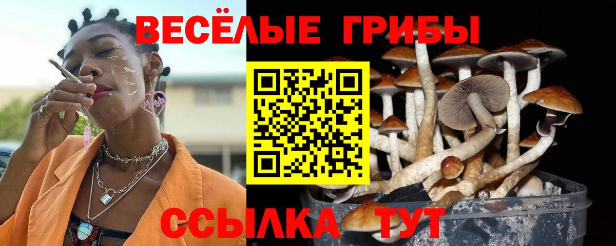 ГАШИШ  Алейск  Cocaine  Вход с VPN  Мефедрон   Конопля  Alpha PVP СК  