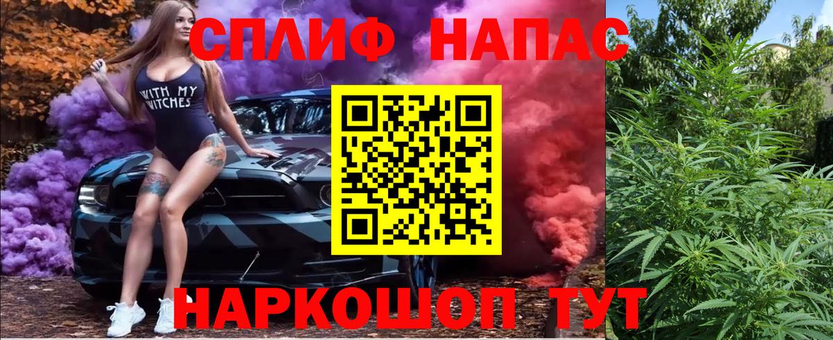 Бошки Шишки семена  Вход с VPN  Алейск  Шишки марихуана THC 21%  Каннабис Amnesia 